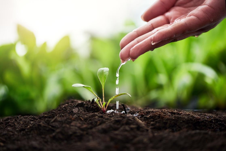 Restoring relationships after harm from conflict